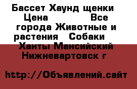 Бассет Хаунд щенки › Цена ­ 20 000 - Все города Животные и растения » Собаки   . Ханты-Мансийский,Нижневартовск г.